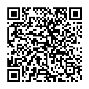 这张名单上代表帝国综合学院的任何一名新生一定都是最适合这个项目的人选二维码生成