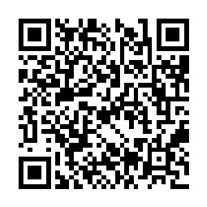 这张天符的价值已经已经抵得上大半钱家的收藏了二维码生成