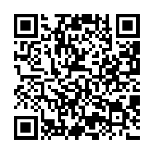 这张破损芯片里面正是记录着其中一个阶段性实验的数据二维码生成