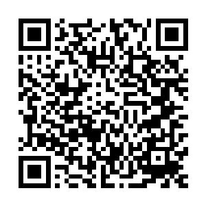 这得是多么强大的反射神经才能让系统如此疯狂的开始刷问题二维码生成