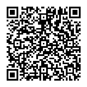 这恐怖的万毒寂灭大阵的威力在杨戬的认知之中基本上只在前世仙界的三大阵法之下二维码生成