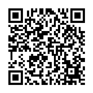 这恐怖的阴寒之力也随着杨戬的修为的不断提升而疯狂的壮大二维码生成