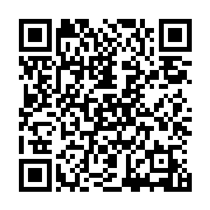 这意味着他们可以接受百分之百的损耗……但如果主动出击二维码生成