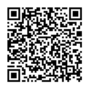 这意味着它们可以用比我们眨眼还要快2300倍的速度闪电般地咬住对方二维码生成