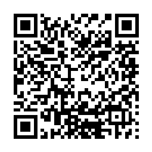 这才会提起这一门亲事的……毕竟蔡晴这样的美女着实漂亮二维码生成