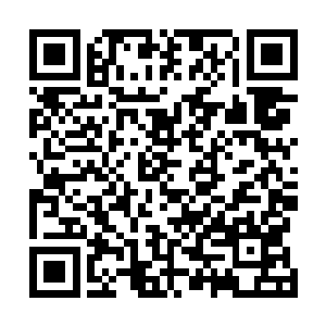 这才使用穿越石位移出现在已经在书房等待的陆飘羽面前二维码生成