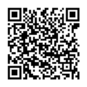 这才刻意的放慢了自己的行动速度的……可没想到的是二维码生成