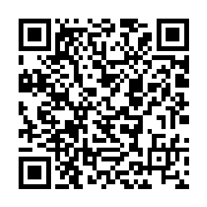 这才得逞的……这家伙有着一手非常不赖的暗器手法二维码生成