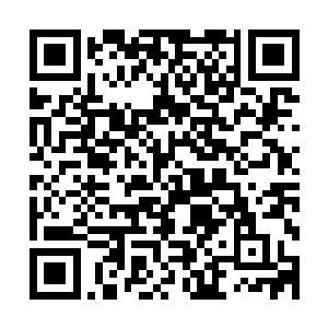 这才恍然大悟的一样样的给董毡和青谊结鬼章解说什么是包子二维码生成
