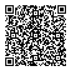 这才抬头看向远处可以用肉眼清晰看见的由浅至深的竹黄色变异仙气层层叠叠盘旋环绕旋转成圆形仙气团二维码生成