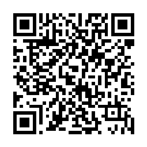 这才拖延到了现在而没有办法抓到那一对张家旁系的一对母二维码生成