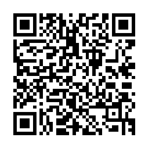 这才是真真正正的人榜实力……类似的想法同时在众人心中升起二维码生成