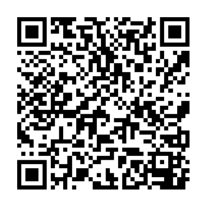 这才满脸讥诮之色的说出了这么一番令所有令主们张口结舌的话来二维码生成