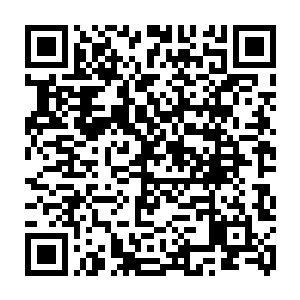 这才能够将幻魔指修炼到极高的层次……卡洛斯可没有这样的时间和精力二维码生成