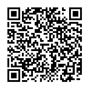 这无比残忍而又充满血腻的一幕看的一边的梁小乐是脸色苍白不已二维码生成