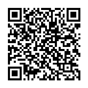 这无疑可以算得上是属于史蒂文一斯皮尔伯格的一届奥斯卡二维码生成