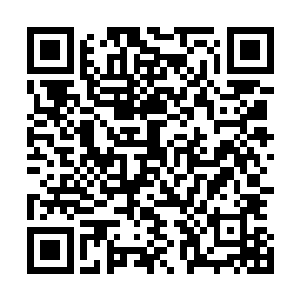 这时他的心里又升起了他常于夜深人静时无数次思索的问题二维码生成