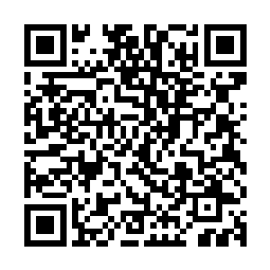 这时候众人才明白为什么之前桌上只有一些简单的糕点和水果了二维码生成