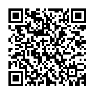 这时候你会发现涌出精灵宝钻的灵气从你的左手进入了你的身体二维码生成