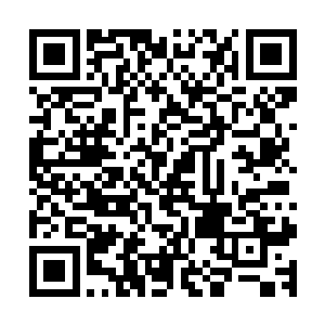 这时候它在如何感觉到羞辱也已经没有意义了……它被撞翻了二维码生成
