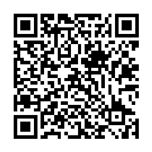 这时候西门俊的护卫他西门俊的命令下对着他们发动了攻击二维码生成