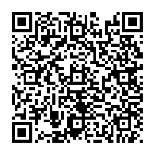这时候要叮嘱自己分清什么是主次的巴克在窗台前也顺便观察爷孙俩住的那个街区巷子口二维码生成