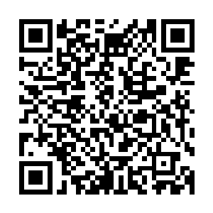 这时师叔和长生都顾不得去纠正他不要将树和自己混为一谈了二维码生成