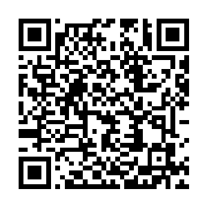 这时帕斯氏族的战士们在艾登的领域里被压得抬不起头二维码生成