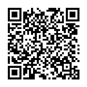 这时林锐才扶着受伤的伊万和叶莲娜从废墟之中走过去二维码生成