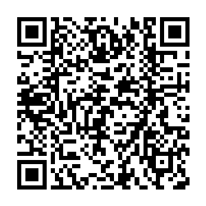 这时流墨墨放下手臂才看见那个和她差不多大的珞黎手里握着一枝桃花二维码生成