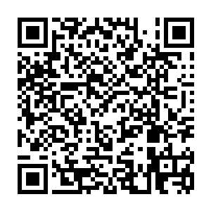 这时的巴里心里估计开始对着小羊们说着有这样的主人你们就自求多福吧二维码生成