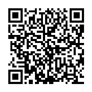 这是一个不用飞鸽决斗便是可以再次向秦宇发起挑战的绝佳机会二维码生成