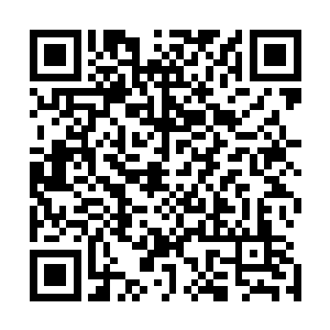 这是他们在燕子坞的时候和其它孩童打架时常用的攻击组合二维码生成