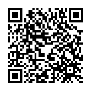 这是传统舰灵坚守的忠诚……和我这野丫头想法不一样二维码生成