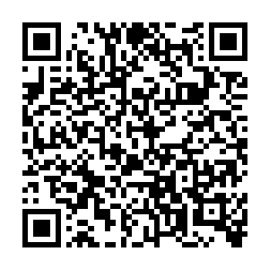 这是使用6阶危险生物暗影魔狼的狼皮结合另外七种暗影生物的皮毛制造而成二维码生成