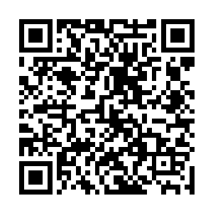 这是君无极这一个多月以来第无数次尝试利用杠杆行走二维码生成