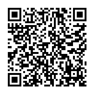 这是因为每一条灵石矿在没有开采之前就会派专门勘探的人员进行估测二维码生成
