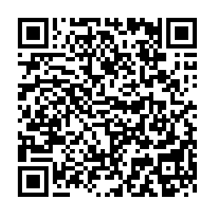 这是国家联合秦宇向玄学界向世界各大组织展露秦宇国师身份的活动二维码生成