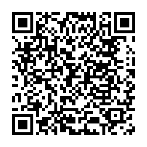 这是孟远那老家伙和他弟弟孟辽啊……这两人怎么会同时昏迷在这里二维码生成