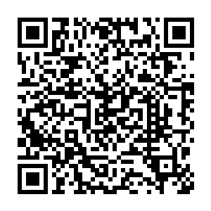 这是定王府上百年的功绩奠定的在百姓和权贵们心中无法取代的威严二维码生成