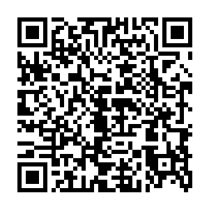 这是悟法师兄得到宗门秘传的绝学大悲掌……威力远在大慈大悲千叶手之上二维码生成