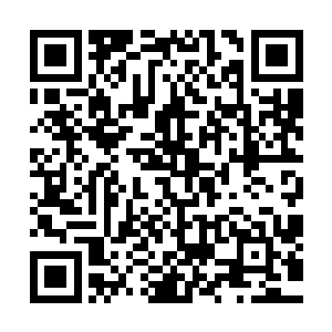 这是我从他们记忆中提取出关于那几个开启门户的家伙的气息二维码生成