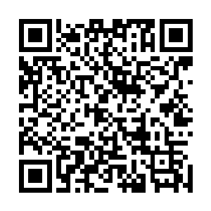 这是我们在厕所的水箱里收集到的……已经全部都在这里了二维码生成
