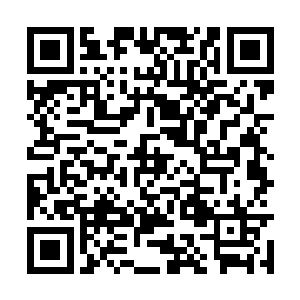 这是我和你爸专门炖得鸡汤里面还加了红枣和枸杞二维码生成