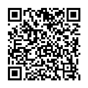 这是我和卢塔部族严格根据法律进行的合法买卖二维码生成