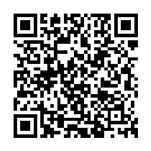 这是我在标准版的基础上改良研发出的非标准版二维码生成