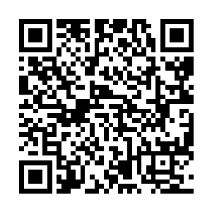 这是技术部门根据网上的视频模拟出来的那个飞机的数据二维码生成