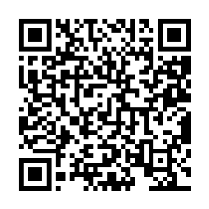 这是柯蒂斯先生的弟弟……他不相信还有柯蒂斯先生的消息二维码生成