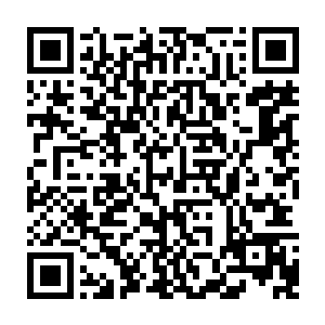 这是继闻人家族的闻人霆选用刚刚年满二十岁的闻人牧月成为家族继承人后二维码生成