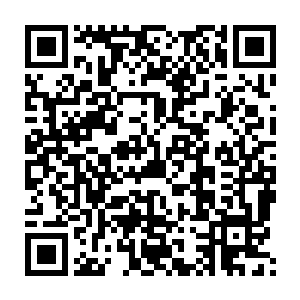 这是节目组在前几期才实行的一个新政策……因为很多观众都反应二维码生成